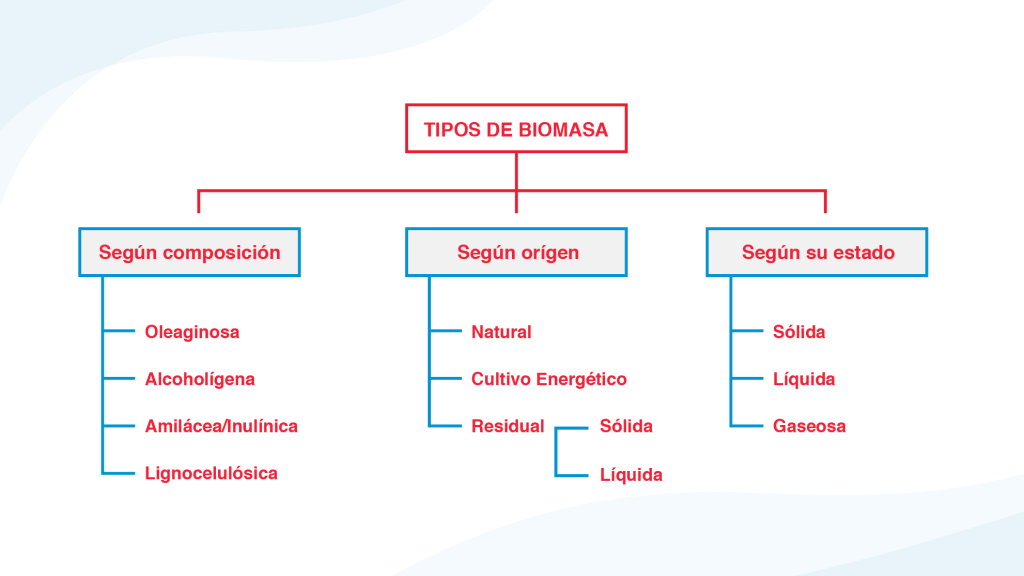 tipos de biomasa: según composición, origen y estado.